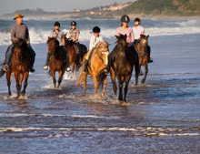 Horses