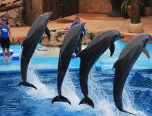 Ushaka Marine World Durban